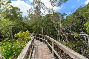 Cedars East in Longboat Key Beach Access