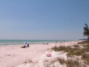 Cedars West 8