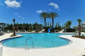 Grand Palm in Venice Pool
