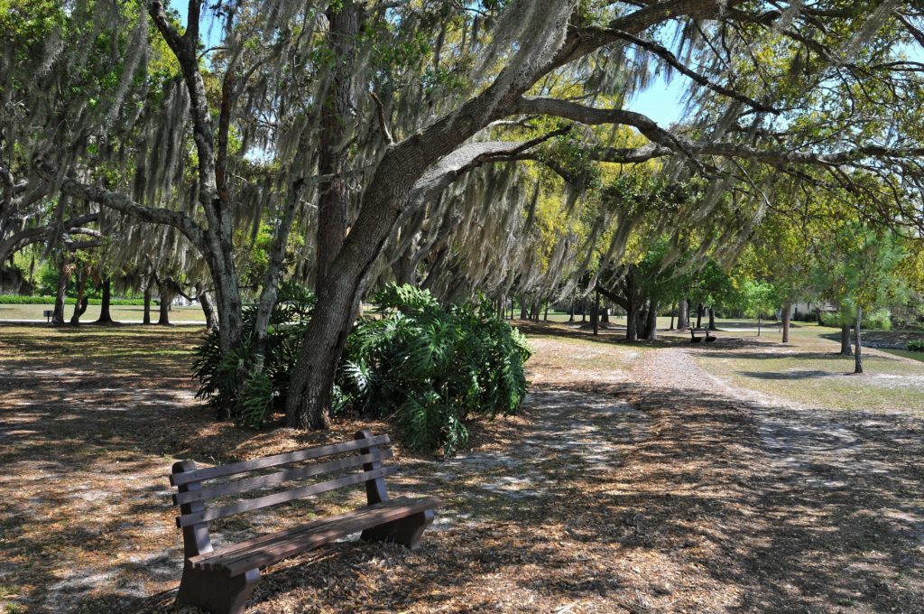 Bent Tree 2011 14
