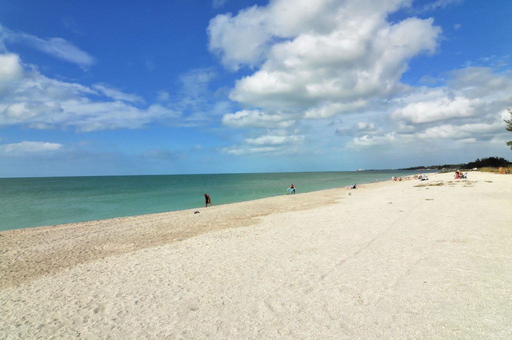 Turtle Beach Homes & Condos for Sale | Siesta Key Florida 8 Turtle Beach in Siesta Key 1