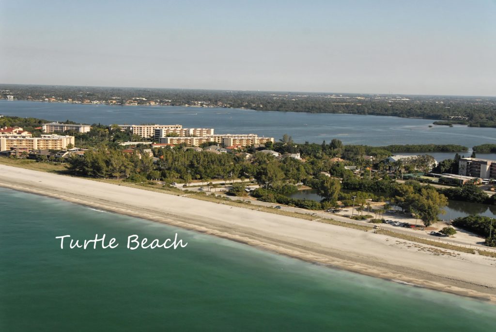 Turtle Beach in Siesta Key