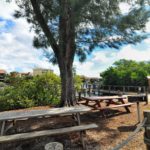 Turtle Beach in Siesta Key Community Park