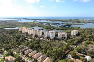 The Oaks Preserve Osprey Florida Homes for Sale