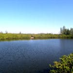 Tidy Island 14
