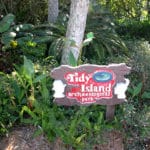 Tidy Island 43