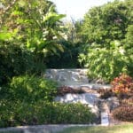 Tidy Island 45