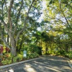 Oak Court in Sarasota Homes for Sale Gated Community