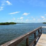 Bayside Osprey Homes for Sale 11
