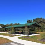 Oakleaf Hammock in Ellenton Picnic Area