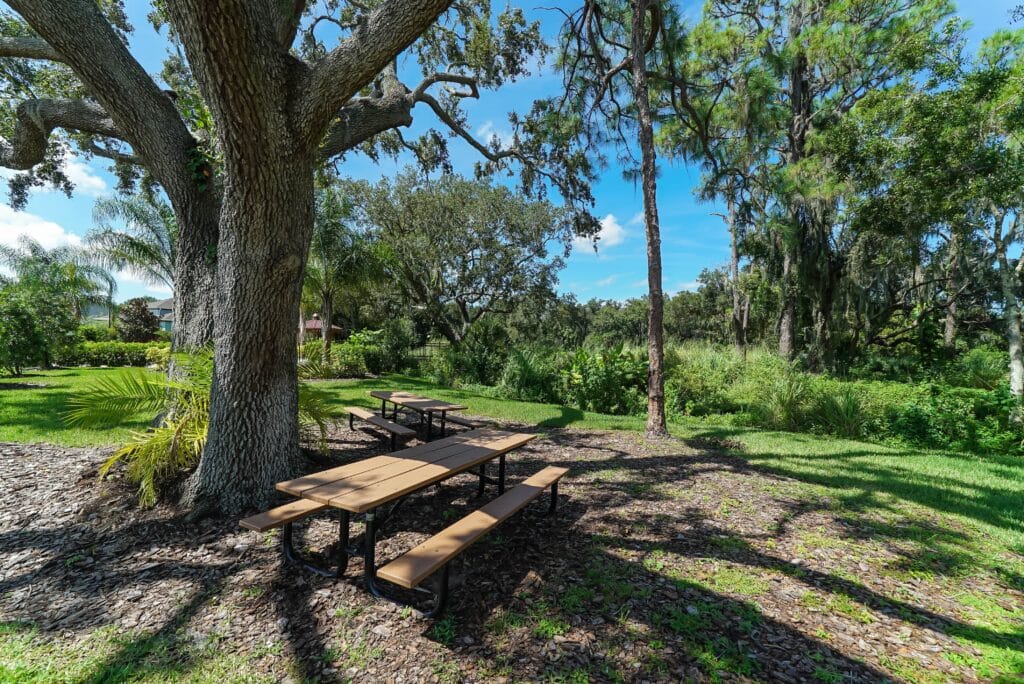 Osprey Landing Bradenton Homes for Sale 1