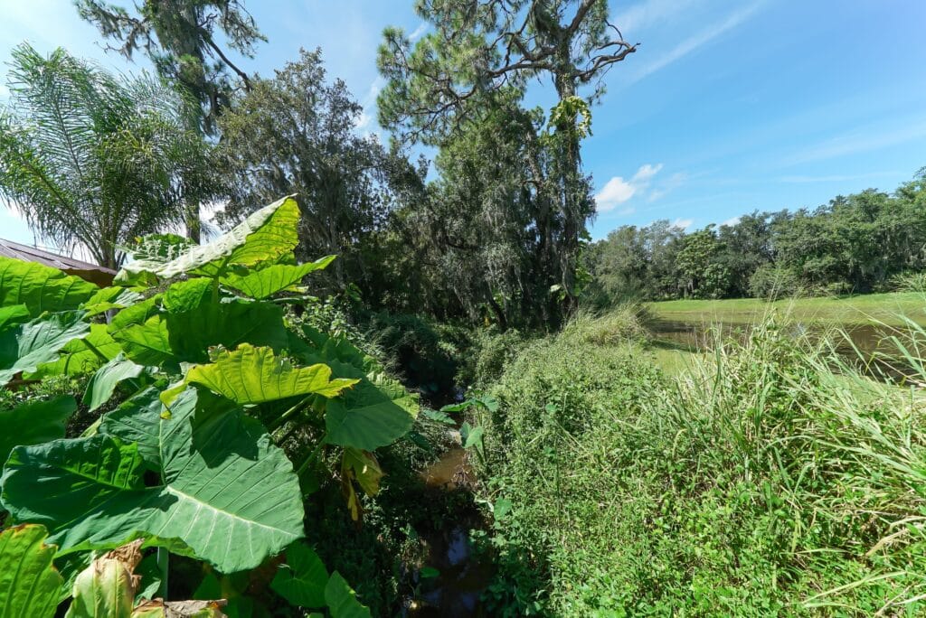 Osprey Landing Bradenton Homes for Sale 4