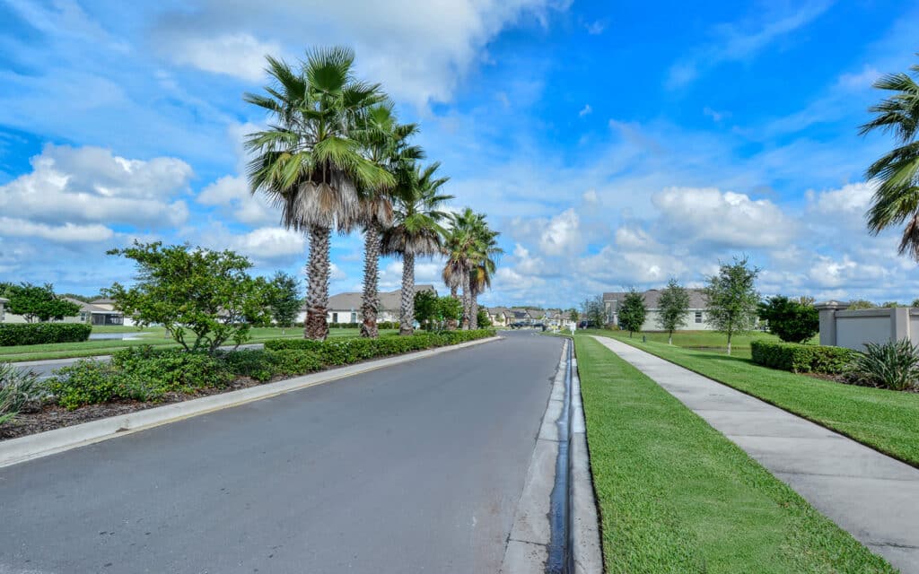 Willow Walk Palmetto Florida Homes for Sale 1