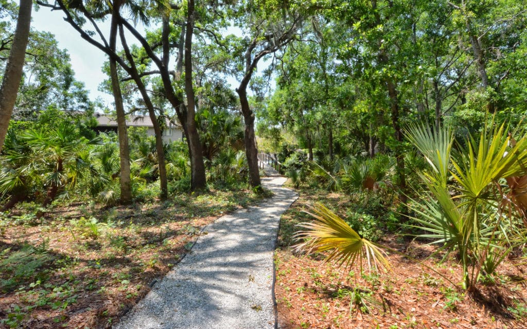 Crooked Creek in Sarasota Nature Trails