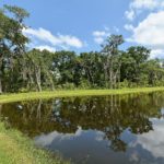 Woodland Trace in Sarasota Lake