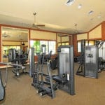 Venetian Falls in Venice Gym 1