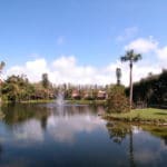 Sandy Hook Siesta Key Homes for Sale