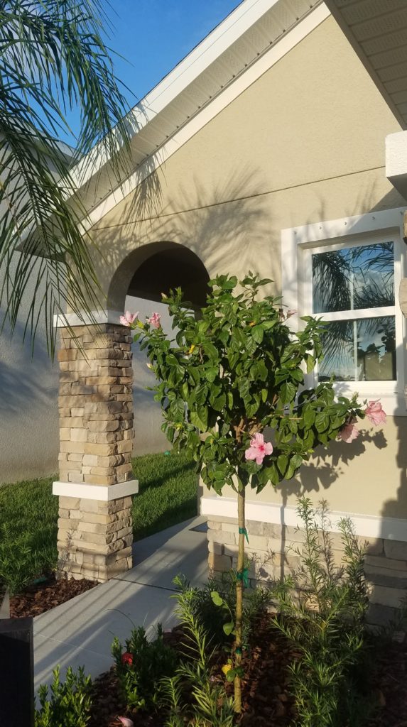 Garden Village in Sarasota Homes for Sale 2
