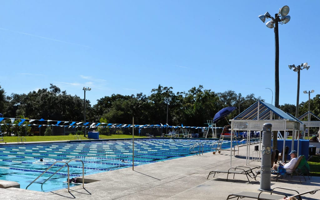 Arlington Park in Sarasota Pool