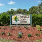 Cypress Pond Estates Palmetto Homes for Sale