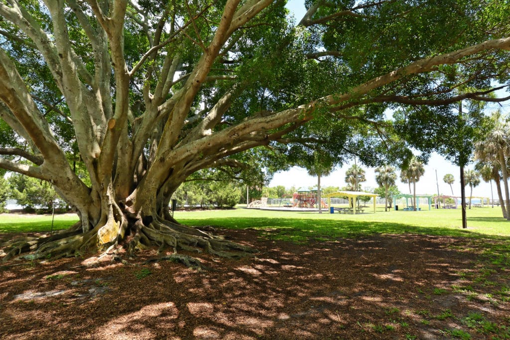 Bayshore Gardens in Bradenton Homes for Sale 11