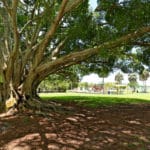 Bayshore Gardens in Bradenton Homes for Sale 11