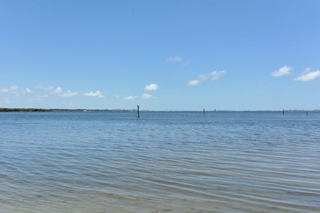 Bayshore Gardens in Bradenton Homes for Sale 18