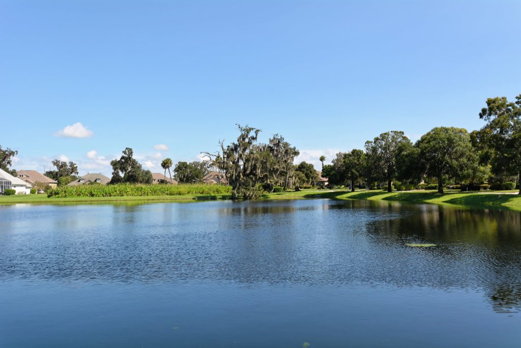 Oak Creek in Ellenton Homes for Sale 4