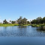 Oak Creek in Ellenton Homes for Sale 4