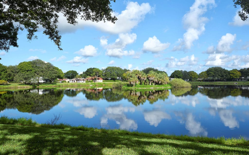 Chestnut Creek Homes & Villas for Sale | Venice Florida 4 Chestnut Creek in Venice Homes for Sale 4