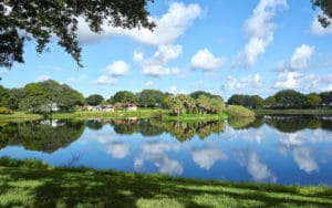Chestnut Creek in Venice Homes for Sale 4