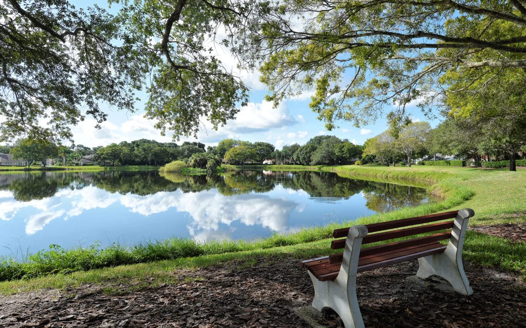 Chestnut Creek Homes & Villas for Sale | Venice Florida 6 Chestnut Creek in Venice Homes for Sale 6