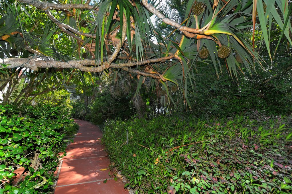 Dock on the Bay Longboat Key Condos for Sale 1