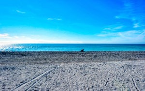 Gulf Shores Venice Condos for Sale
