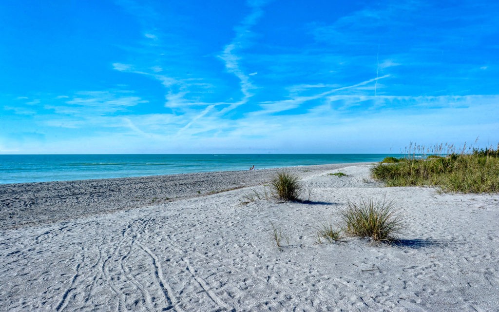Gulf Shores in Venice Condos for Sale 7
