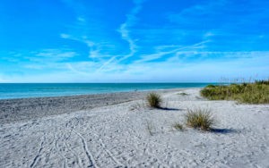 Gulf Shores in Venice Condos for Sale 7