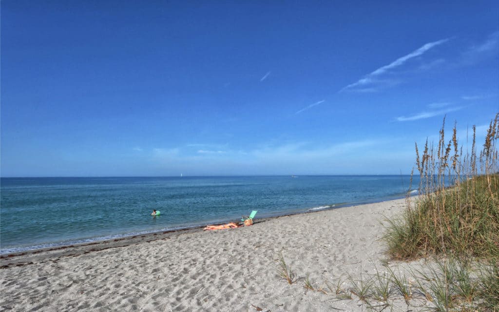 Venice Island Condos and Homes for Sale