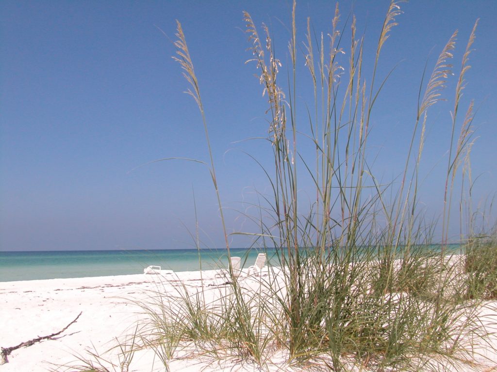Coreys Landing Longboat Key Condos for Sale 15
