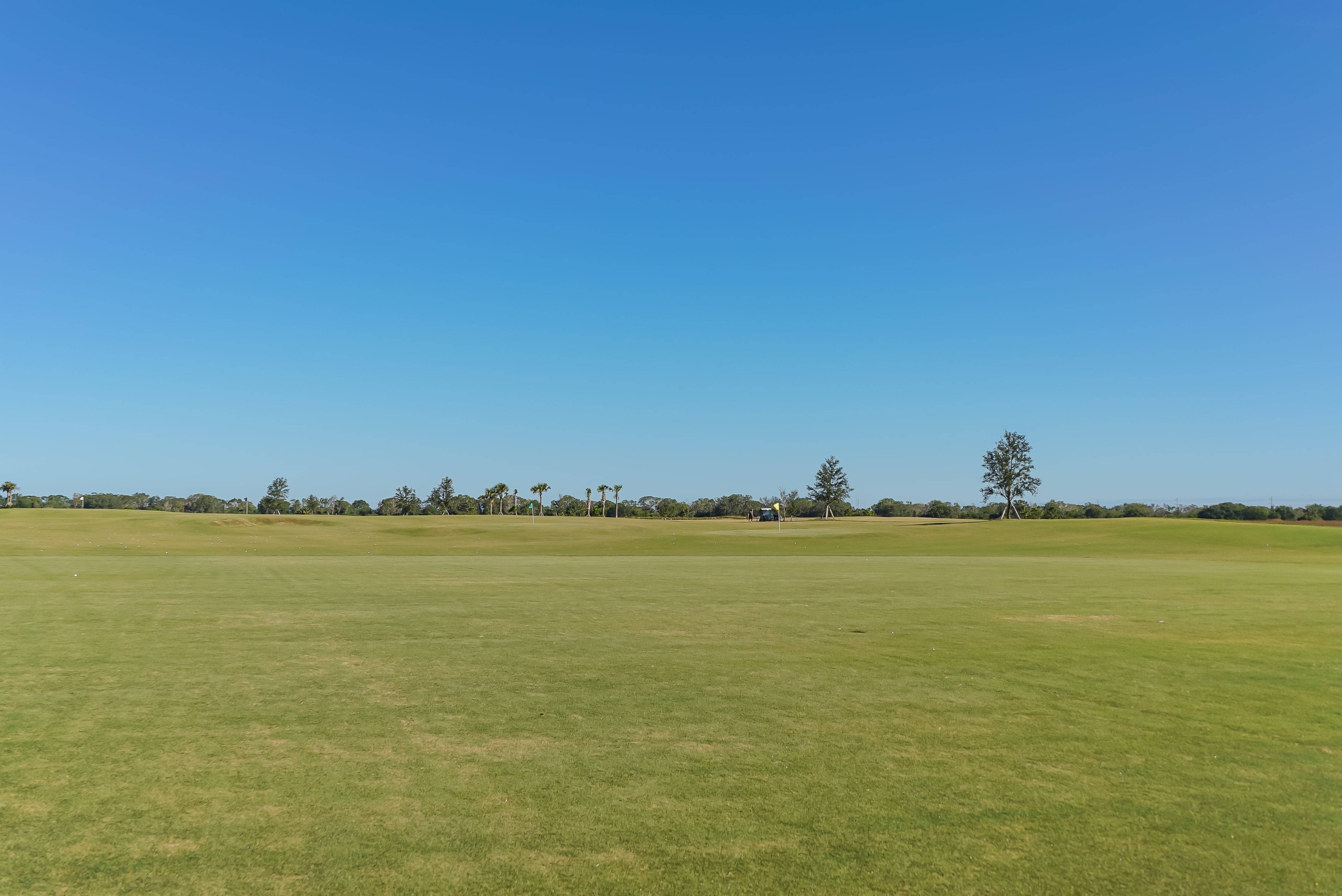Lakewood National Golf Club at Lakewood Ranch Homes for Sale