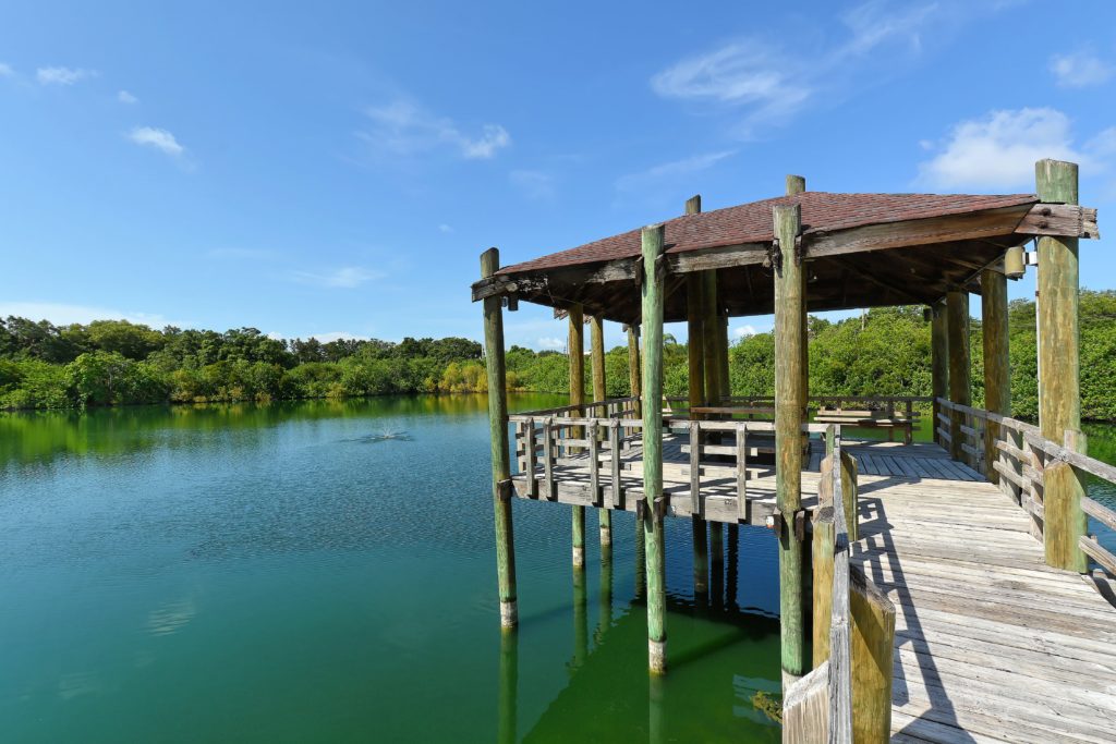 Meadowcroft in Bradenton Condos for Sale 11