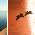 Imperial House in Bradenton Beach Condos for Sale 12