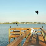 Imperial House in Bradenton Beach Condos for Sale 3