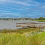 Del Webb Bayview Parrish Florida Homes for Sale 38