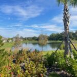 Crosswind Point in Parrish Homes for Sale 12