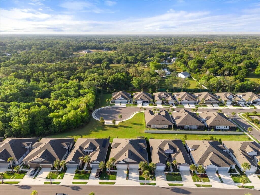 Amberly in Bradenton Homes for Sale 5