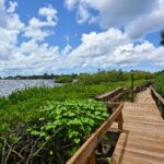 Castel del Mar Sarasota Homes for Sale 1