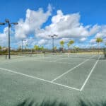 Esplanade at Artisan Lakes Palmetto Homes for Sale 26