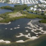 Hawk Island Bradenton Florida Homes for Sale