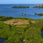 Hawks Harbor in Bradenton Homes for Sale 3