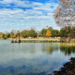 Heritage Harbour Bradenton Florida Homes for Sale and Condos 9